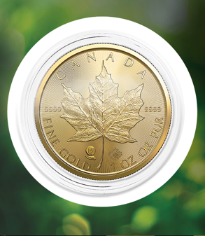 In Stock! Inquire Only! Payment via Etransfer Only! Canadian Gold Maple Leaf 1 oz Pure, Single Source Mine